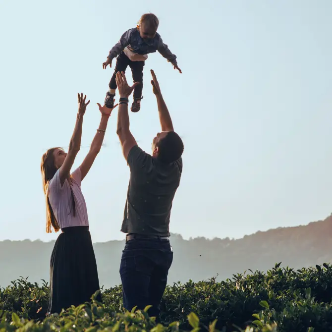 Life Cover & Risk Planning